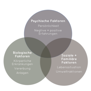 Model zur Entstehung psychischer Stoerungen