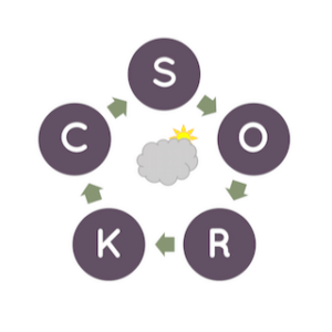 S-O-R-K-C-Schema: Modell aus der verhaltenstherapeutischen Praxis