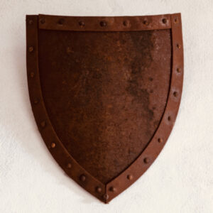 Schild als Abwehrmechanismus in der tiefenpsychologisch fundierte Psychotherapie