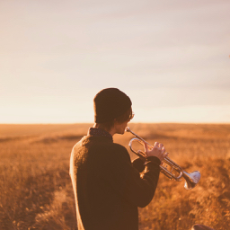 Junger Erwachsener spielt Trompete im Abendlicht – Symbolbild für Selbstfindung, Orientierung und emotionale Entwicklung in der Psychotherapie.